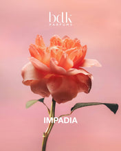 Load image into Gallery viewer, impadia bdk eau de parfum for men and woman 1.7oz - alwaysspecialgifts.com