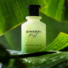 Load image into Gallery viewer, ginger mist michael malul eau de parfum 3.4oz for woman - alwaysspecialgifts.com