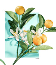 Load image into Gallery viewer, tiffany &amp; co love for her eau de parfume  3.0 oz ,90ml - alwaysspecialgifts.com