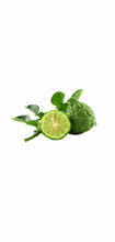Load image into Gallery viewer, hos n.004 eau de parfum 2.5oz for mens - alwaysspecialgifts.com