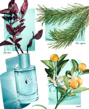 Load image into Gallery viewer, tiffany &amp; love tiffany &amp; co eau de parfum gift set 3 pcs for womans - alwaysspecialgifts.com