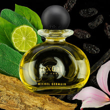 Load image into Gallery viewer, sexual pour homme michel germain eau de toilette - alwaysspecialgifts.com